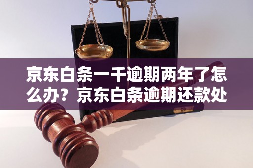 京东白条一千逾期两年了怎么办？京东白条逾期还款处理步骤