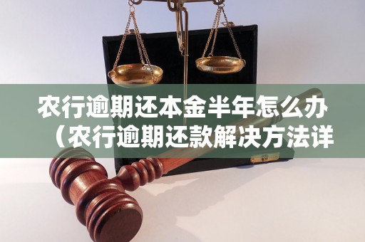 农行逾期还本金半年怎么办（农行逾期还款解决方法详解）