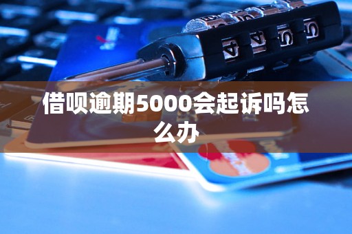 借呗逾期5000会起诉吗怎么办