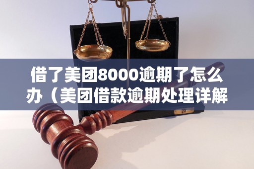 借了美团8000逾期了怎么办（美团借款逾期处理详解）