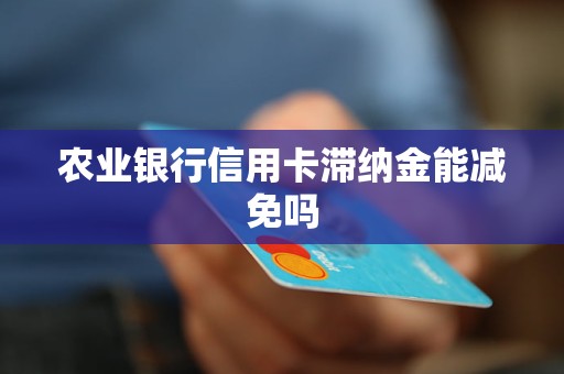 农业银行信用卡滞纳金能减免吗