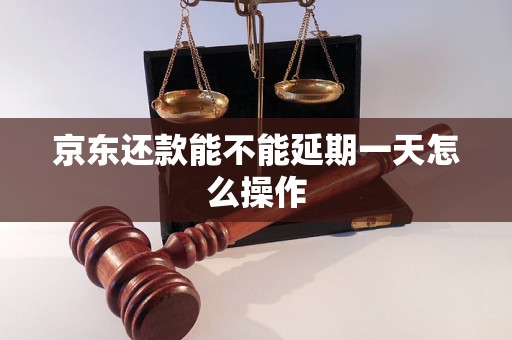 京东还款能不能延期一天怎么操作