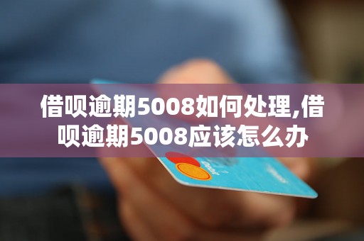 借呗逾期5008如何处理,借呗逾期5008应该怎么办