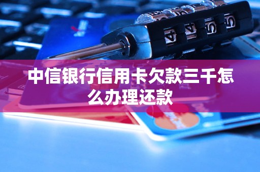 中信银行信用卡欠款三千怎么办理还款