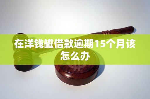 在洋钱罐借款逾期15个月该怎么办