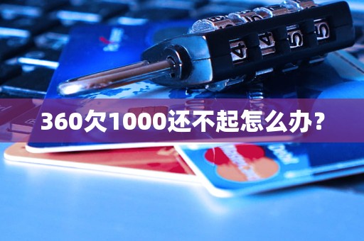 360欠1000还不起怎么办？