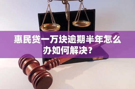 惠民贷一万块逾期半年怎么办如何解决？