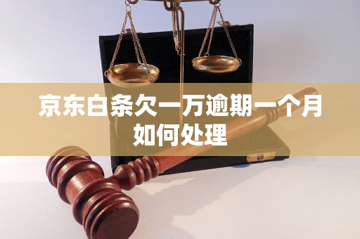 京东白条欠一万逾期一个月如何处理