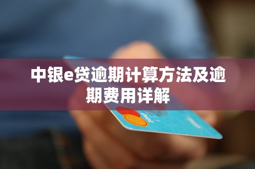 中银e贷逾期计算方法及逾期费用详解