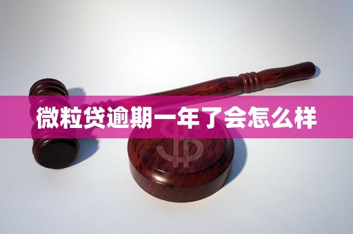 微粒贷逾期一年了会怎么样