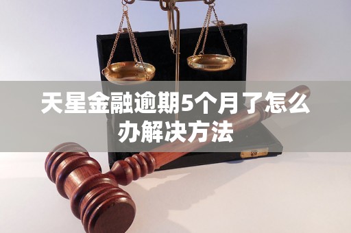 天星金融逾期5个月了怎么办解决方法