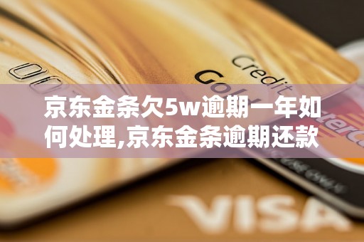 京东金条欠5w逾期一年如何处理,京东金条逾期还款后果