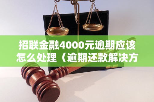 招联金融4000元逾期应该怎么处理（逾期还款解决方案）