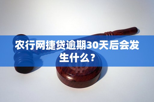 农行网捷贷逾期30天后会发生什么？