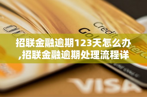 招联金融逾期123天怎么办,招联金融逾期处理流程详解