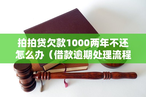 拍拍贷欠款1000两年不还怎么办（借款逾期处理流程）