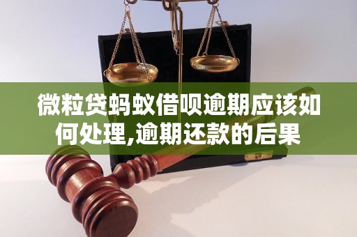 微粒贷蚂蚁借呗逾期应该如何处理,逾期还款的后果