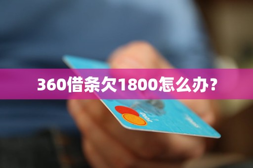 360借条欠1800怎么办？