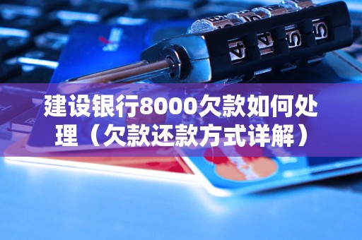 建设银行8000欠款如何处理（欠款还款方式详解）