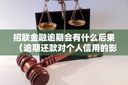 招联金融逾期会有什么后果（逾期还款对个人信用的影响）