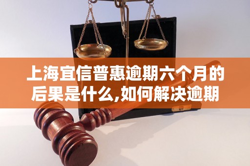 上海宜信普惠逾期六个月的后果是什么,如何解决逾期问题