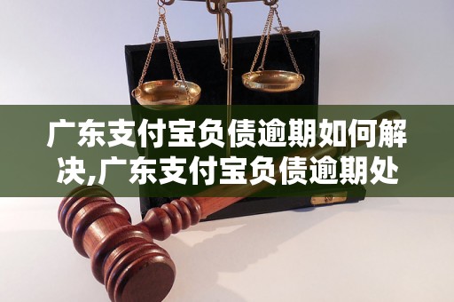 广东支付宝负债逾期如何解决,广东支付宝负债逾期处理方法