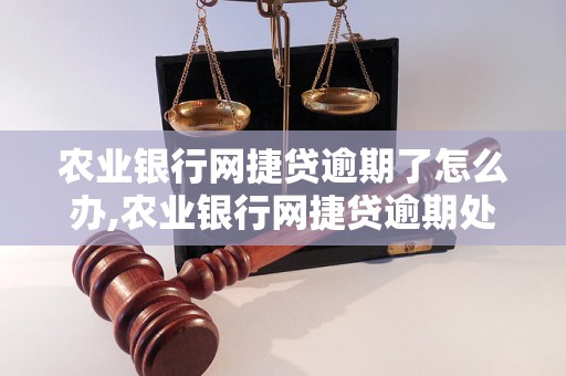 农业银行网捷贷逾期了怎么办,农业银行网捷贷逾期处理流程