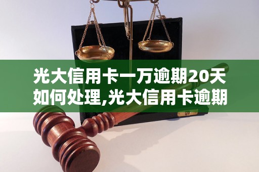 光大信用卡一万逾期20天如何处理,光大信用卡逾期还款规定