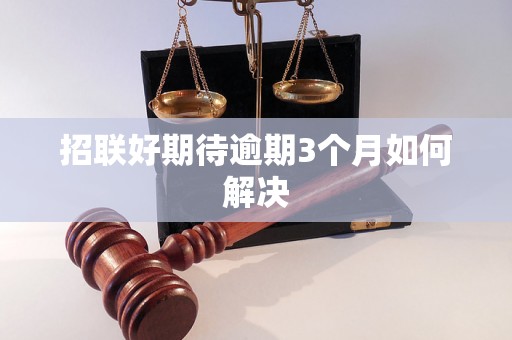 招联好期待逾期3个月如何解决