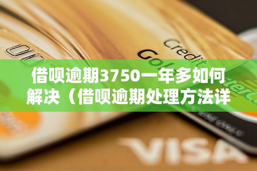 借呗逾期3750一年多如何解决（借呗逾期处理方法详解）