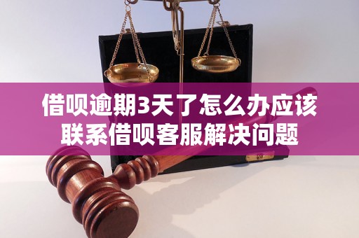 借呗逾期3天了怎么办应该联系借呗客服解决问题