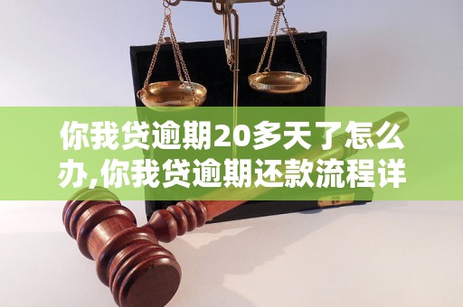 你我贷逾期20多天了怎么办,你我贷逾期还款流程详解