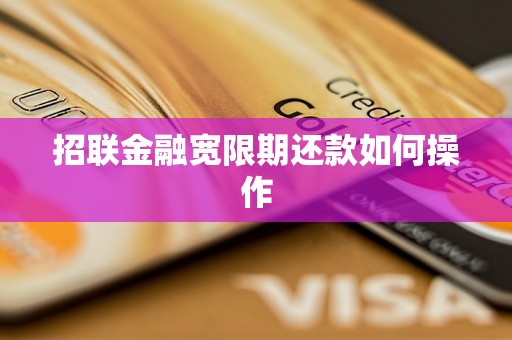 招联金融宽限期还款如何操作