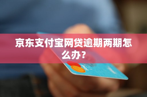 京东支付宝网贷逾期两期怎么办？