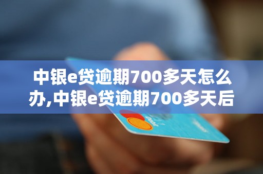 中银e贷逾期700多天怎么办,中银e贷逾期700多天后果严重吗