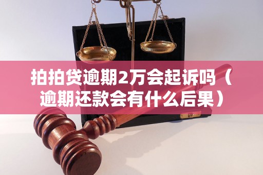 拍拍贷逾期2万会起诉吗（逾期还款会有什么后果）