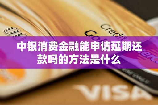 中银消费金融能申请延期还款吗的方法是什么