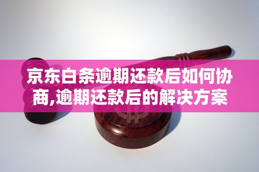 京东白条逾期还款后如何协商,逾期还款后的解决方案