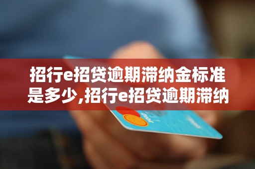 招行e招贷逾期滞纳金标准是多少,招行e招贷逾期滞纳金计算公式