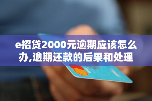 e招贷2000元逾期应该怎么办,逾期还款的后果和处理方法