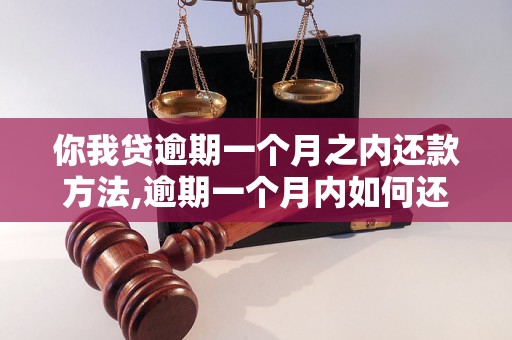 你我贷逾期一个月之内还款方法,逾期一个月内如何还款