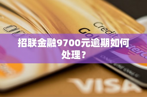 招联金融9700元逾期如何处理？