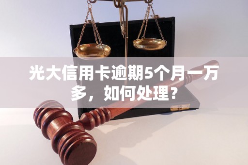 光大信用卡逾期5个月一万多，如何处理？