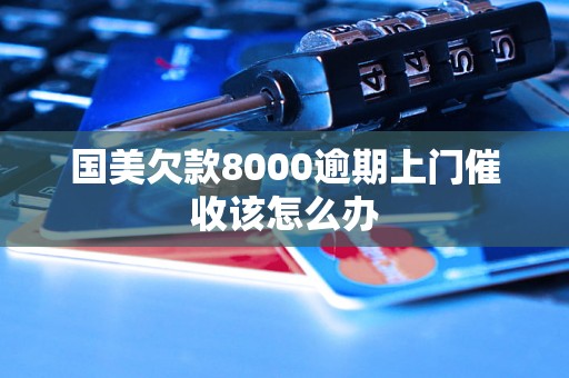 国美欠款8000逾期上门催收该怎么办