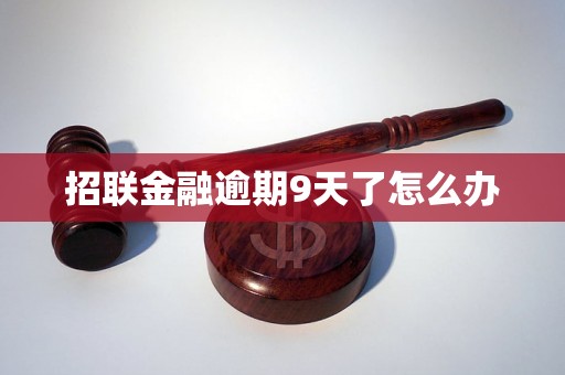 招联金融逾期9天了怎么办