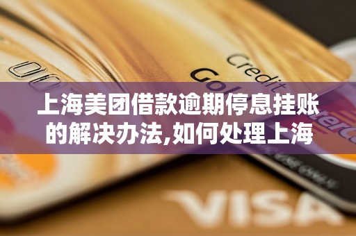 上海美团借款逾期停息挂账的解决办法,如何处理上海美团借款逾期问题