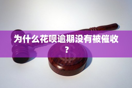 为什么花呗逾期没有被催收？