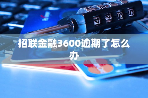 招联金融3600逾期了怎么办