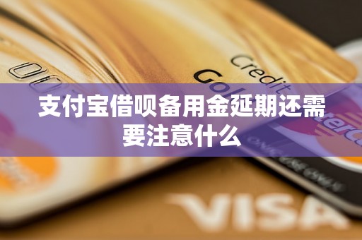 支付宝借呗备用金延期还需要注意什么