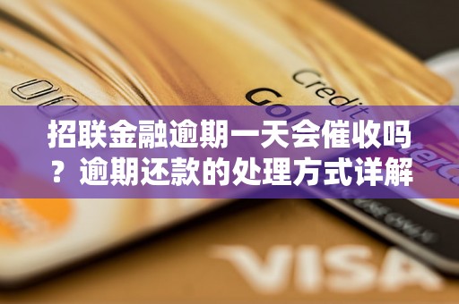 招联金融逾期一天会催收吗？逾期还款的处理方式详解